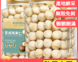 進口夏威夷果仁